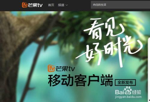 芒果电影直播在线观看,畅享云端观影新体验