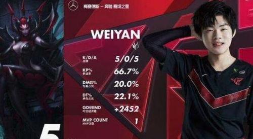 爆料打假人视频在线观看